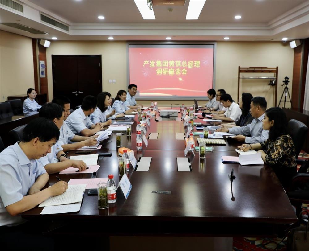 集團黨委副書記、總經(jīng)理黃蓓帶隊調(diào)研濟南市工程咨詢院